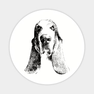 Basset Hound gift for Basset Owners Magnet